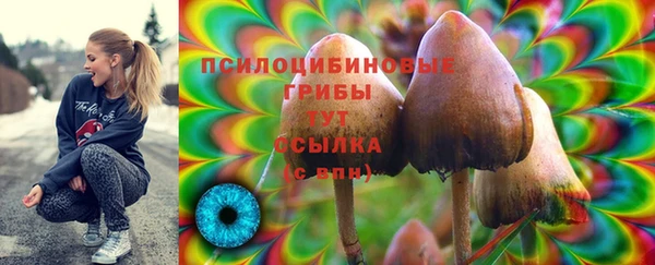 дмт Армянск