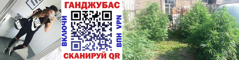 что такое наркотик  Чаплыгин  Канабис MAZAR 